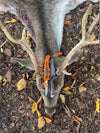Hunttech Gut Hook Tyrfing Add-On tarmåbner – præcist gut hook blad til Tyrfing-kniven
