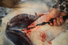Hunttech Gut Hook Tyrfing Add-On tarmåbner – præcist gut hook blad til Tyrfing-kniven