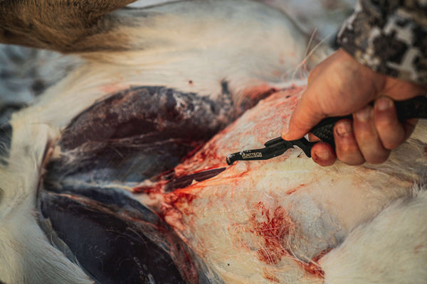 Hunttech Gut Hook Tyrfing Add-On tarmåbner – præcist gut hook blad til Tyrfing-kniven