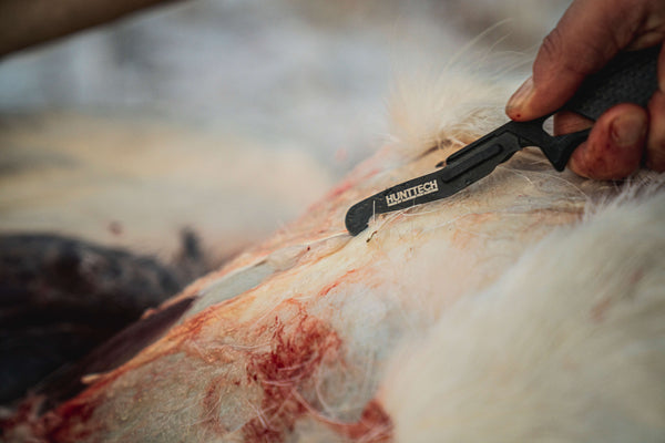 Hunttech Gut Hook Tyrfing Add-On tarmåbner – præcist gut hook blad til Tyrfing-kniven